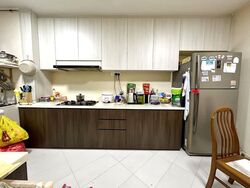 Blk 241 Hougang Heights (Hougang), HDB 3 Rooms #528068821